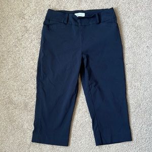 Reitmans Capri Pants